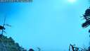 ./images/calvert/fitz-hugh-hecate/20260723/fitz-hugh-hecate20260723_102001M.jpg