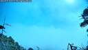 ./images/calvert/fitz-hugh-hecate/20260723/fitz-hugh-hecate20260723_102501M.jpg