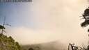 ./images/calvert/fitz-hugh-hecate/20260723/fitz-hugh-hecate20260723_104001M.jpg