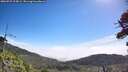 ./images/calvert/fitz-hugh-hecate/20260723/fitz-hugh-hecate20260723_105001M.jpg