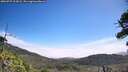 ./images/calvert/fitz-hugh-hecate/20260723/fitz-hugh-hecate20260723_112002M.jpg