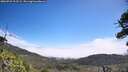 ./images/calvert/fitz-hugh-hecate/20260723/fitz-hugh-hecate20260723_112502M.jpg