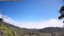 ./images/calvert/fitz-hugh-hecate/20260723/fitz-hugh-hecate20260723_113001M.jpg