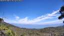 ./images/calvert/fitz-hugh-hecate/20260723/fitz-hugh-hecate20260723_140002M.jpg