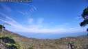 ./images/calvert/fitz-hugh-hecate/20260723/fitz-hugh-hecate20260723_155501M.jpg