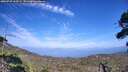 ./images/calvert/fitz-hugh-hecate/20260723/fitz-hugh-hecate20260723_160501M.jpg