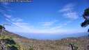 ./images/calvert/fitz-hugh-hecate/20260723/fitz-hugh-hecate20260723_163001M.jpg