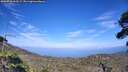 ./images/calvert/fitz-hugh-hecate/20260723/fitz-hugh-hecate20260723_163501M.jpg