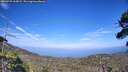 ./images/calvert/fitz-hugh-hecate/20260723/fitz-hugh-hecate20260723_165001M.jpg