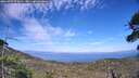 ./images/calvert/fitz-hugh-hecate/20260723/fitz-hugh-hecate20260723_174501M.jpg