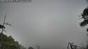 ./images/calvert/fitz-hugh-hecate/20260723/fitz-hugh-hecate20260723_210501M.jpg