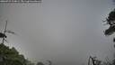 ./images/calvert/fitz-hugh-hecate/20260723/fitz-hugh-hecate20260723_214001M.jpg