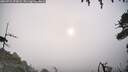./images/calvert/fitz-hugh-hecate/20260724/fitz-hugh-hecate20260724_073002M.jpg