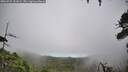 ./images/calvert/fitz-hugh-hecate/20260724/fitz-hugh-hecate20260724_111001M.jpg