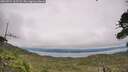 ./images/calvert/fitz-hugh-hecate/20260724/fitz-hugh-hecate20260724_161501M.jpg