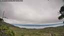 ./images/calvert/fitz-hugh-hecate/20260724/fitz-hugh-hecate20260724_162501M.jpg