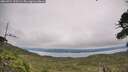 ./images/calvert/fitz-hugh-hecate/20260724/fitz-hugh-hecate20260724_163501M.jpg