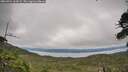 ./images/calvert/fitz-hugh-hecate/20260724/fitz-hugh-hecate20260724_164501M.jpg