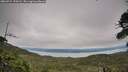 ./images/calvert/fitz-hugh-hecate/20260724/fitz-hugh-hecate20260724_170501M.jpg