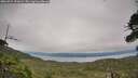 ./images/calvert/fitz-hugh-hecate/20260724/fitz-hugh-hecate20260724_172002M.jpg