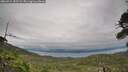 ./images/calvert/fitz-hugh-hecate/20260724/fitz-hugh-hecate20260724_183501M.jpg