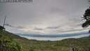 ./images/calvert/fitz-hugh-hecate/20260724/fitz-hugh-hecate20260724_193502M.jpg