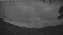 ./images/calvert/fitz-hugh-hecate/20260725/fitz-hugh-hecate20260725_050501M.jpg