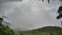 ./images/calvert/fitz-hugh-hecate/20260725/fitz-hugh-hecate20260725_062501M.jpg