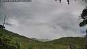./images/calvert/fitz-hugh-hecate/20260725/fitz-hugh-hecate20260725_083502M.jpg