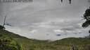 ./images/calvert/fitz-hugh-hecate/20260725/fitz-hugh-hecate20260725_094001M.jpg