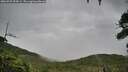 ./images/calvert/fitz-hugh-hecate/20260725/fitz-hugh-hecate20260725_094502M.jpg