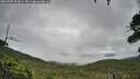 ./images/calvert/fitz-hugh-hecate/20260725/fitz-hugh-hecate20260725_101001M.jpg