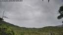 ./images/calvert/fitz-hugh-hecate/20260725/fitz-hugh-hecate20260725_104001M.jpg