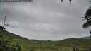 ./images/calvert/fitz-hugh-hecate/20260725/fitz-hugh-hecate20260725_104501M.jpg