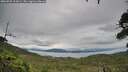 ./images/calvert/fitz-hugh-hecate/20260725/fitz-hugh-hecate20260725_113001M.jpg