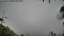 ./images/calvert/fitz-hugh-hecate/20260725/fitz-hugh-hecate20260725_140002M.jpg