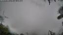 ./images/calvert/fitz-hugh-hecate/20260725/fitz-hugh-hecate20260725_155501M.jpg