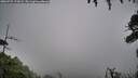 ./images/calvert/fitz-hugh-hecate/20260725/fitz-hugh-hecate20260725_171002M.jpg
