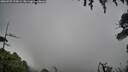 ./images/calvert/fitz-hugh-hecate/20260725/fitz-hugh-hecate20260725_175001M.jpg
