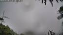 ./images/calvert/fitz-hugh-hecate/20260725/fitz-hugh-hecate20260725_194001M.jpg