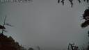 ./images/calvert/fitz-hugh-hecate/20260725/fitz-hugh-hecate20260725_215002M.jpg