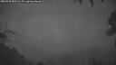 ./images/calvert/fitz-hugh-hecate/20260726/fitz-hugh-hecate20260726_050501M.jpg