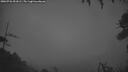 ./images/calvert/fitz-hugh-hecate/20260726/fitz-hugh-hecate20260726_051001M.jpg