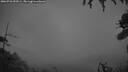 ./images/calvert/fitz-hugh-hecate/20260726/fitz-hugh-hecate20260726_052001M.jpg