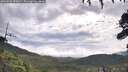 ./images/calvert/fitz-hugh-hecate/20260726/fitz-hugh-hecate20260726_091001M.jpg