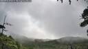 ./images/calvert/fitz-hugh-hecate/20260726/fitz-hugh-hecate20260726_093501M.jpg