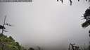 ./images/calvert/fitz-hugh-hecate/20260726/fitz-hugh-hecate20260726_100001M.jpg
