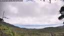 ./images/calvert/fitz-hugh-hecate/20260726/fitz-hugh-hecate20260726_104502M.jpg