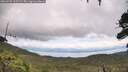./images/calvert/fitz-hugh-hecate/20260726/fitz-hugh-hecate20260726_112502M.jpg