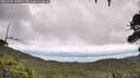 ./images/calvert/fitz-hugh-hecate/20260726/fitz-hugh-hecate20260726_113001M.jpg